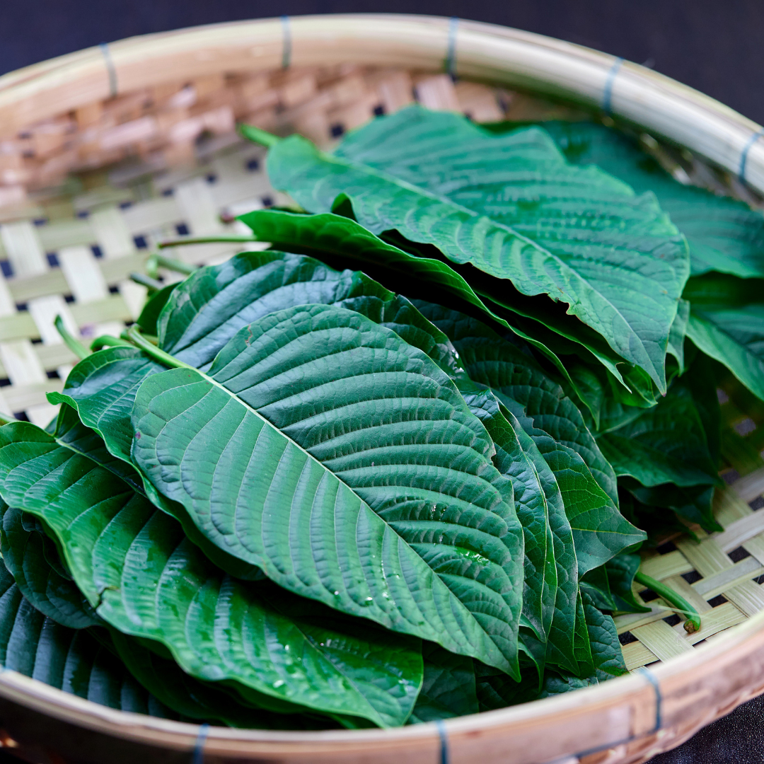 7-Hydroxymitragynine Kratom Leaf