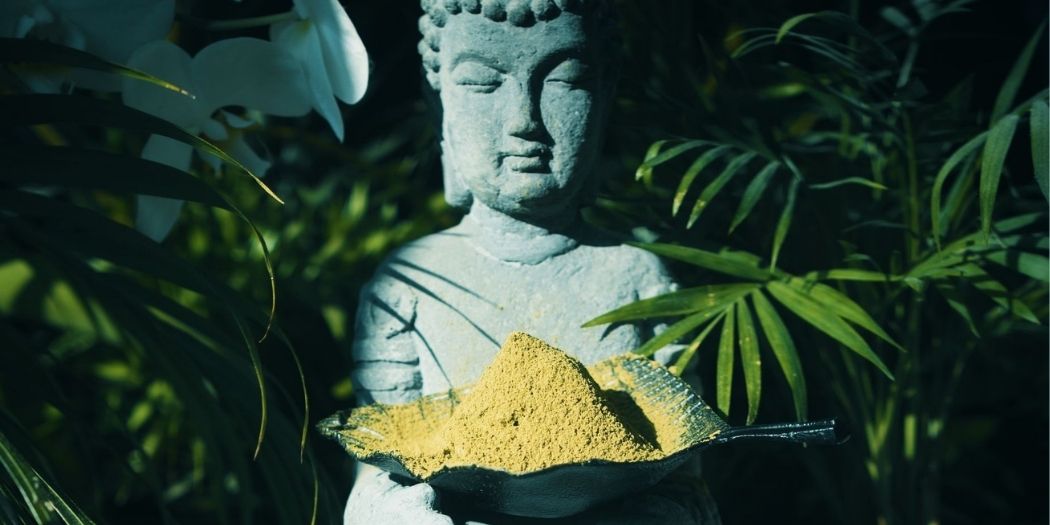 Is Akuamma An Alternative To Kratom?